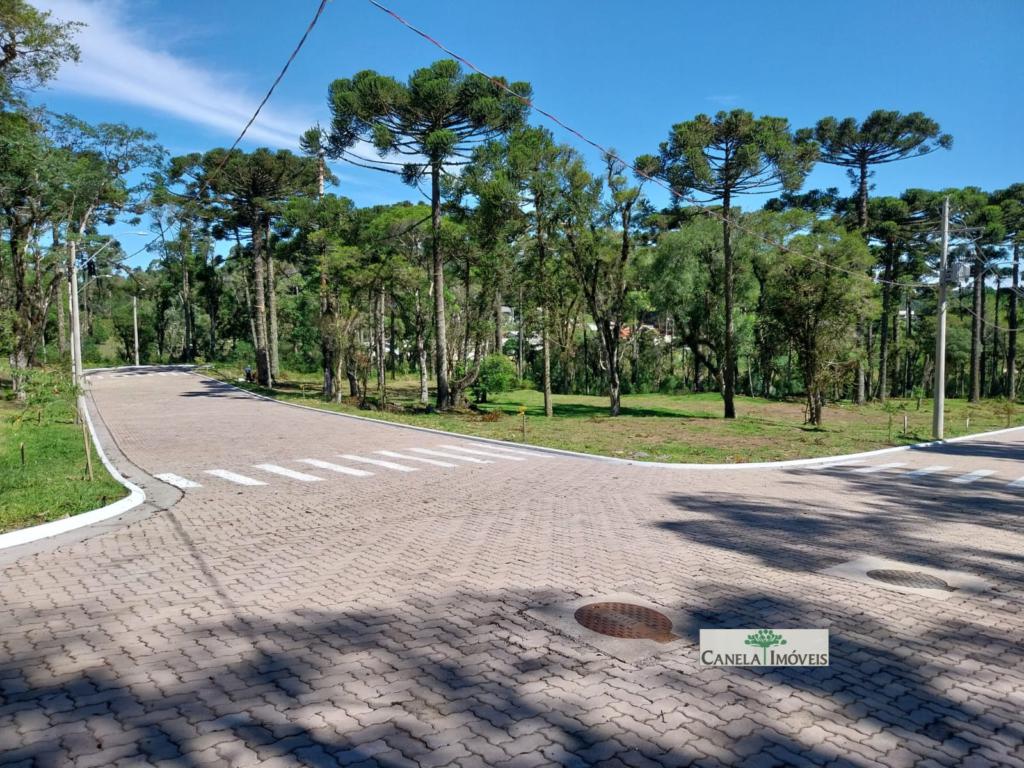 Terreno