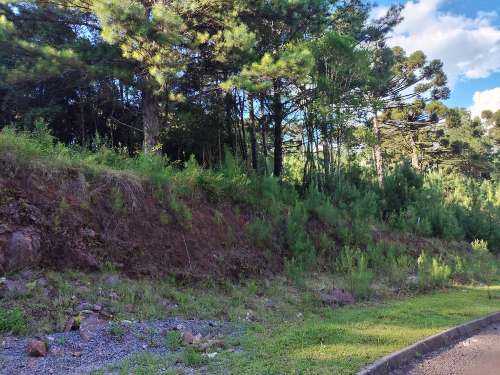 Terreno